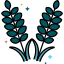 border-icon